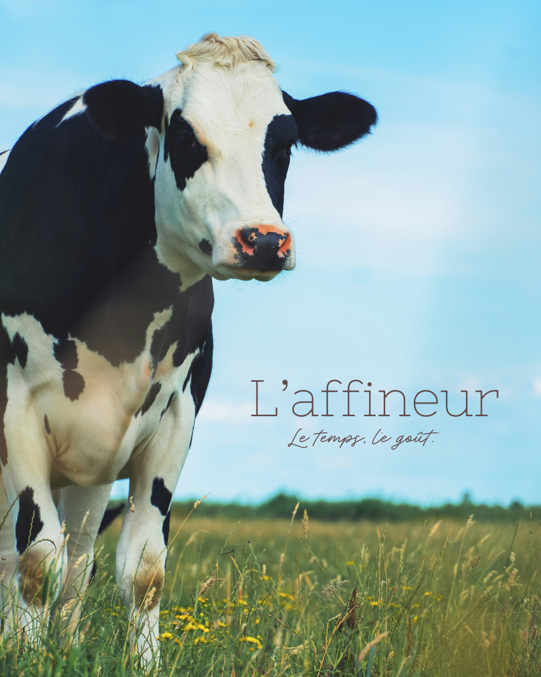 vignette réalisation - l'affineur