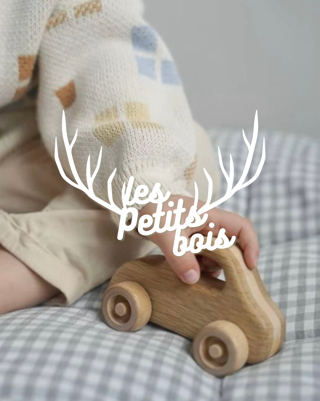 vignette réalisation - les petits bois