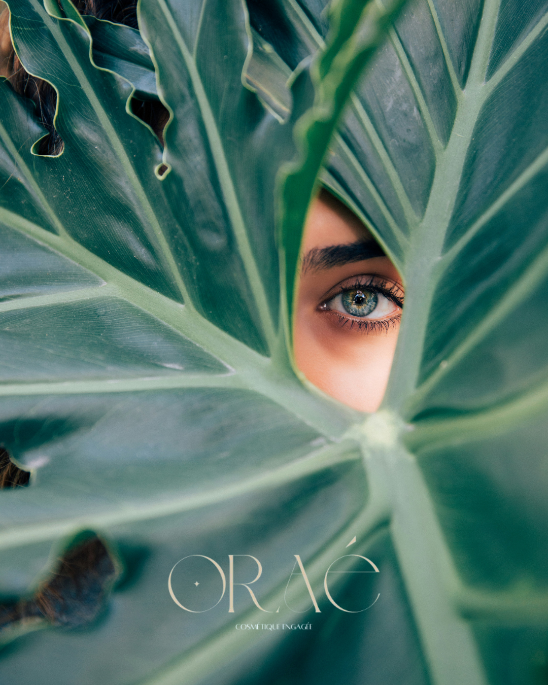 vignette réalisation - oraé